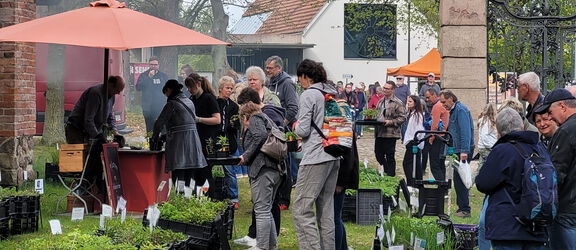 Viele Besucherinnen und Besucher sehen sich Grünpflanzen an, die verkauft werden.