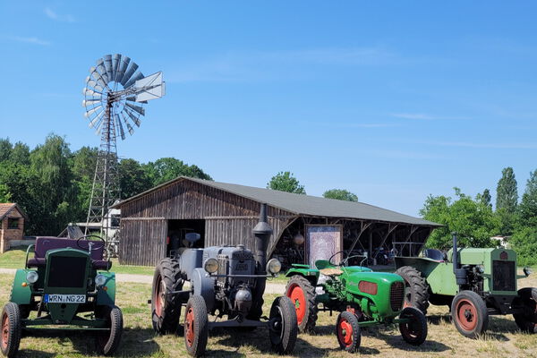 4 alte Traktoren stehen auf dem Freigelände des Agroneum