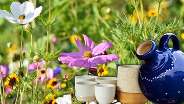 KeyVisual Toepfertag AGM 2026 16zu9