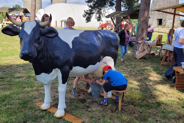 1 Junge melkt eine schwarz weiß gefleckte Modellkuh auf dem Hoffest