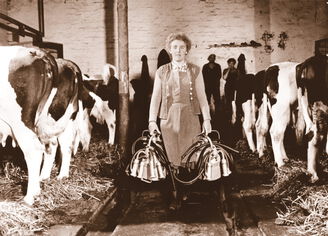 Agroneum Viehwirtschaft