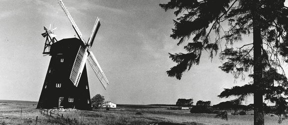 Die Holländer Windmühle des Agroneums vor 60 Jahren
