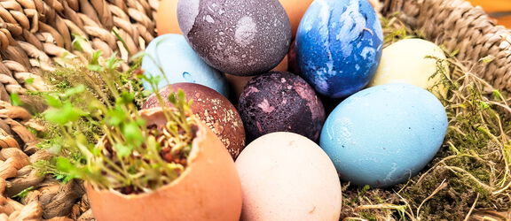 KeyVisual AGM Osterallerlei Saisonstart 2026 16zu9