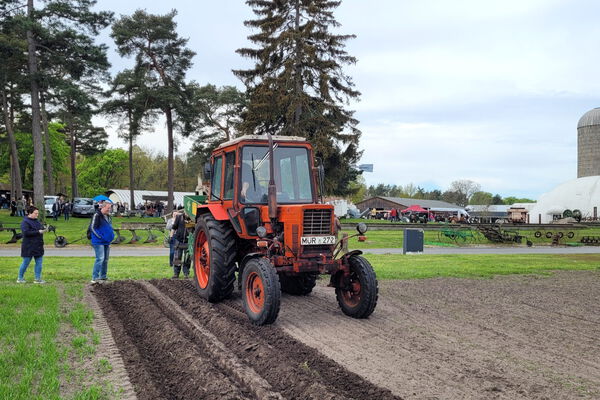Ein alter roter Traktor auf dem Museumsacker des Agroneum, daneben stehen 2 Besucher.