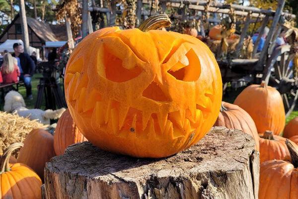ein hübsch geschnitzter Kürbis auf dem Kürbisfest des Agroneum