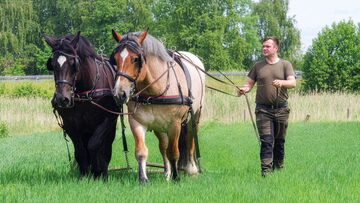 KeyVisual Kaltblut AGM 2026 16zu9