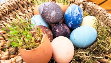 KeyVisual AGM Osterallerlei Saisonstart 2026 16zu9